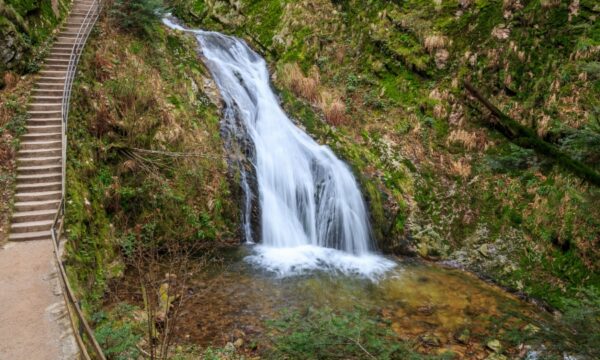 Scenic waterfall in a forest, with wooden stairs ascending alongside it, surrounded by lush greenery.