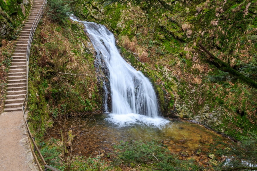 Scenic waterfall in a forest, with wooden stairs ascending alongside it, surrounded by lush greenery.