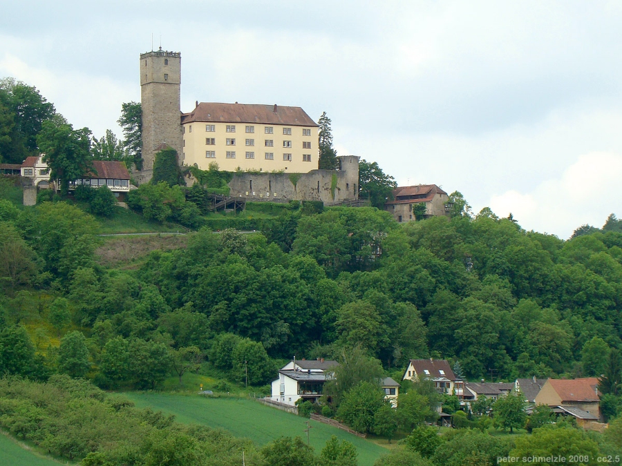 Exploring the German Castle Road: A Complete Guide 5 Guttenberg Castle perched on a hillside, surrounded by lush trees and nearby buildings, showcasing its historical architecture.