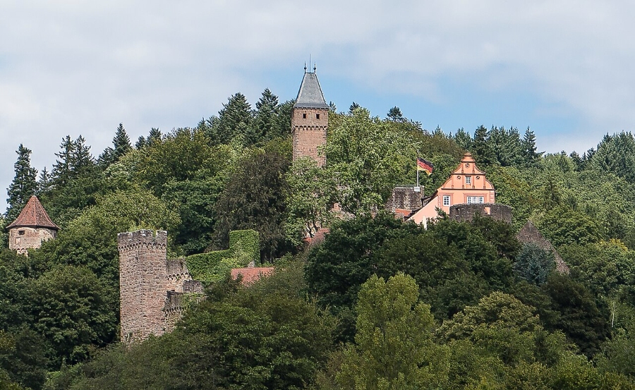 Exploring the German Castle Road: A Complete Guide 13 Hirschhorn Castle perched on a hill, surrounded by lush green trees, showcasing its historic architecture.