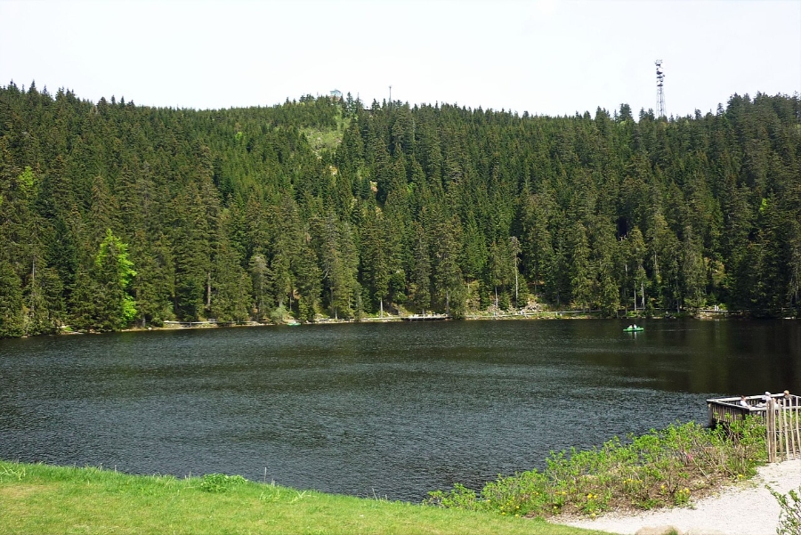 Mummelsee Lake in Germany, surrounded by lush trees and green grass, reflecting the beauty of nature.
