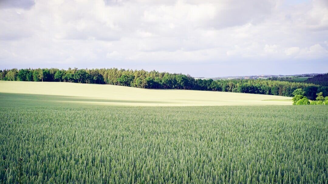 Landscape and iconic architecture of Thuringia federal state, Germany