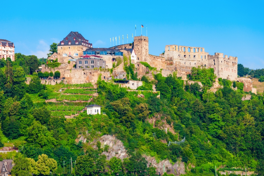 Middle Rhine Valley 9 Rheinfels Castle perched on a hill, overlooking the Rhine River in Germany, surrounded by lush greenery.