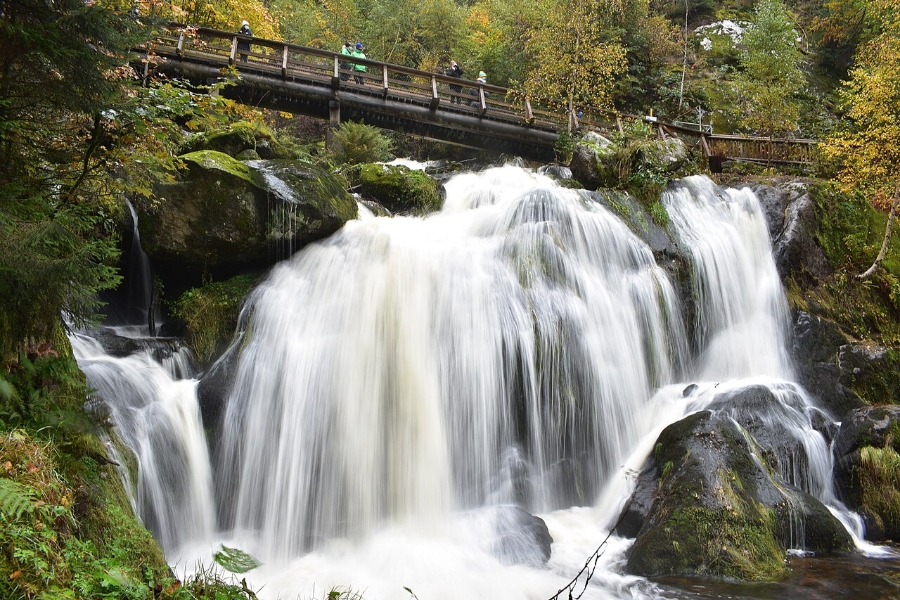 Triberg Waterfalls 3 Triberg Waterfalls flowing amidst lush greenery, featuring a wooden bridge that enhances the natural landscape.