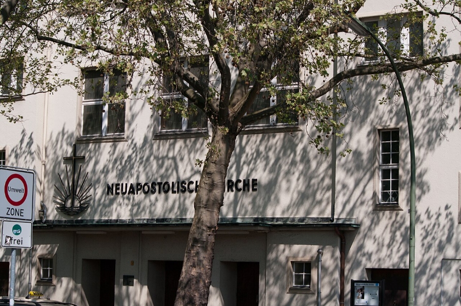 Umweltzone Guide: Germany's Low-Emission Zones Explained for Tourists 19 Green tree with lush leaves, symbolizing environmental awareness in Berlin's eco-friendly zones.
