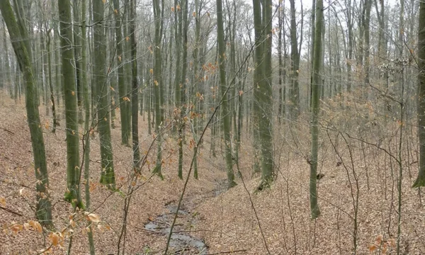Scenic landscape of the Federal State of Lower Saxony, Germany